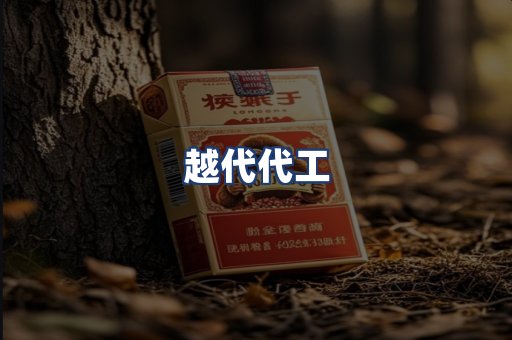 越代代工